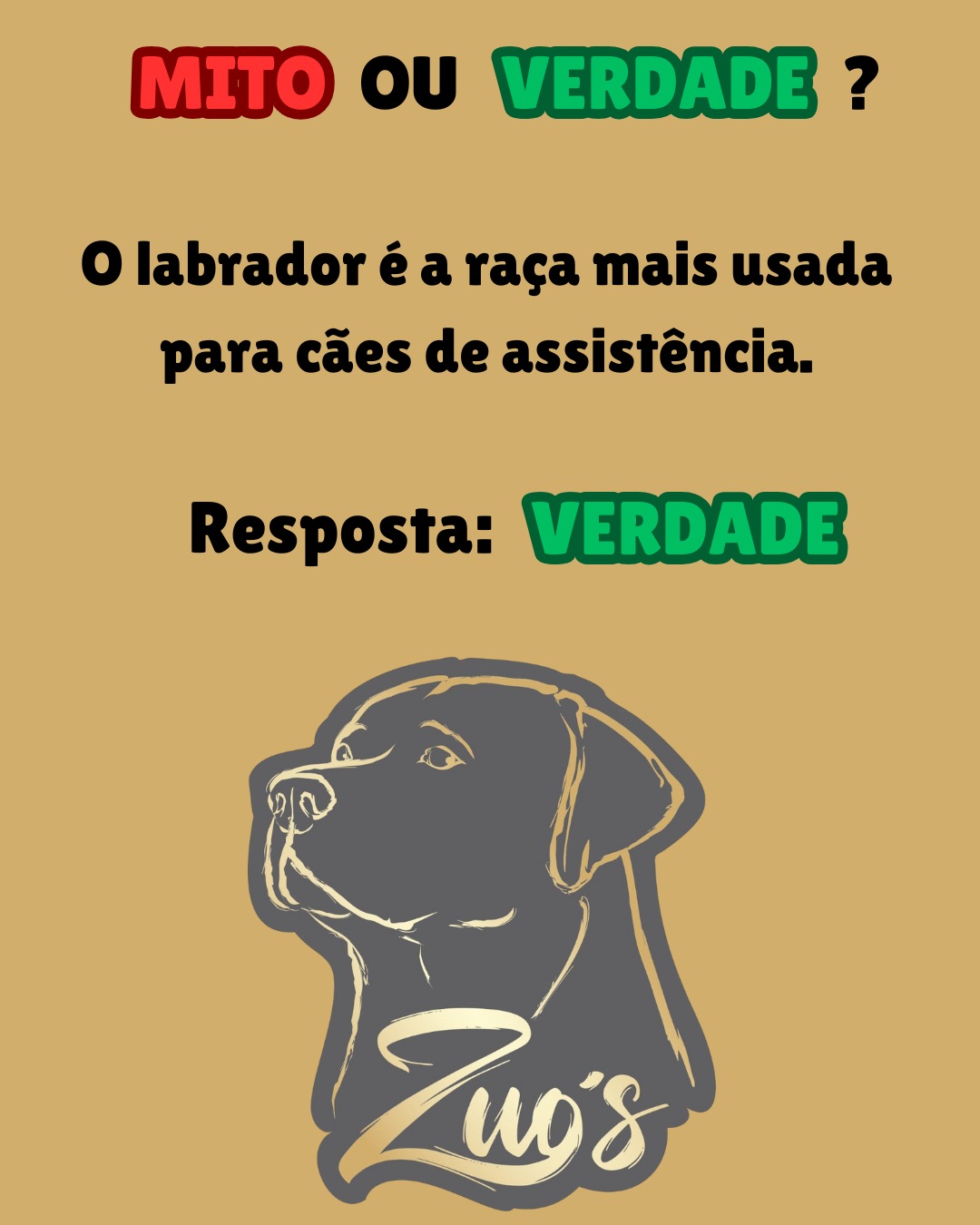 invjrry
